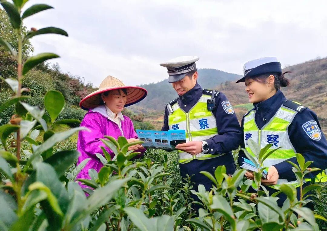 建设更高水平平安浙江 | 丽水市：二十二载护平安 金鼎闪耀续华章